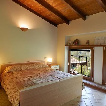 Agriturismo Ca' Del Ciuco Vezzano sul Crostolo エクステリア 写真
